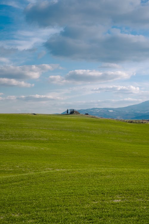 Green Grass Field Under White Clouds