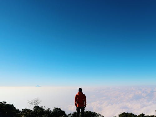 Back view of anonymous male tourist admiring mounts covered with mist while standing near trees under bright cloudless sky in daytime