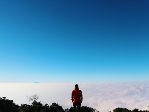Free Back view of anonymous male tourist admiring mounts covered with mist while standing near trees under bright cloudless sky in daytime Stock Photo