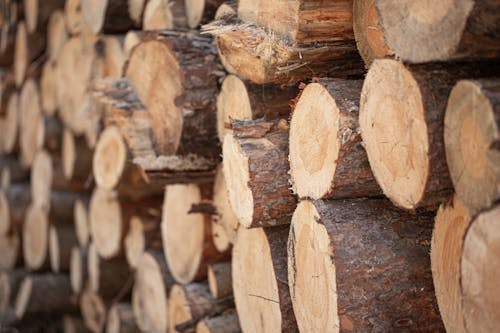 A Stack of Logs
