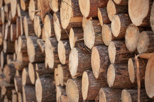 Stack of Firewood