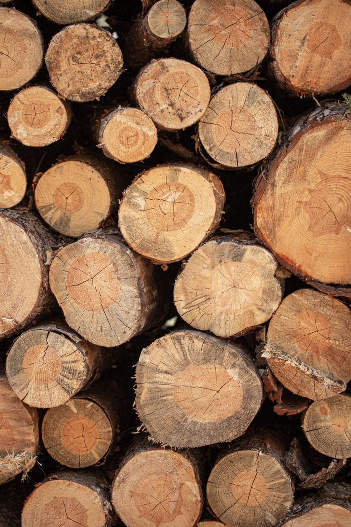 Detalle de troncos de madera