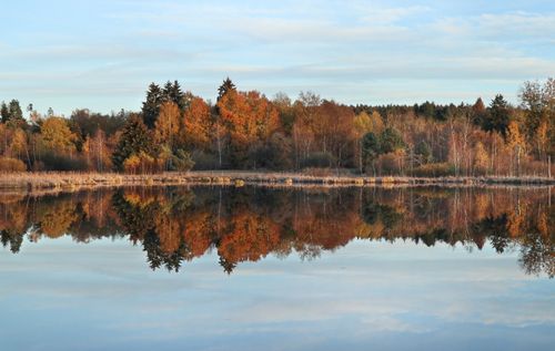 Free Serene autumn landscape with vibrant trees reflecting on a calm lake under a clear blue sky. Stock Photo