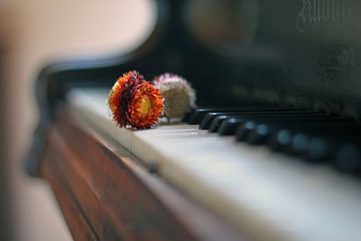Free stock photo of wood, flowers, blur, piano