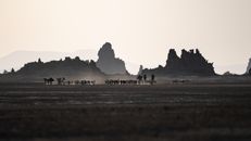 People Walking on Field