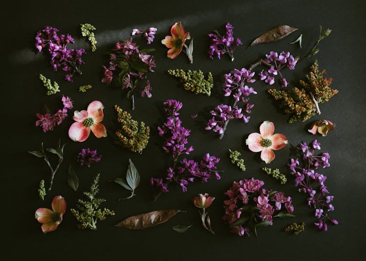 Flowers On A Black Background