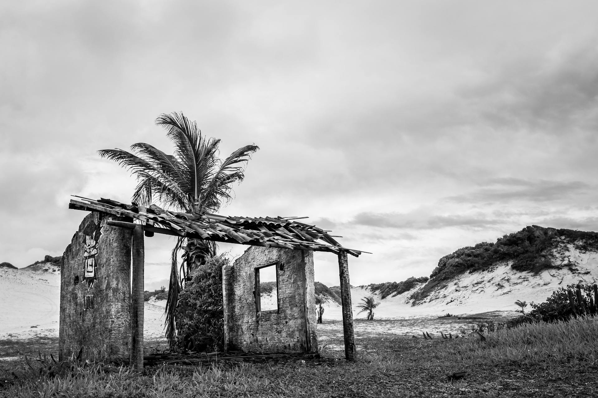 Grayscale Photo of Abandoned Broken House Near the Palm Tree