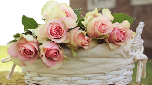 1000 amazing flower basket