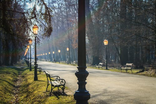 Free stock photo of beauty in nature, city park, people