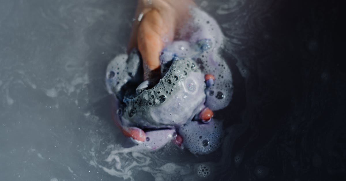 How to clean a fish tank filter sponge