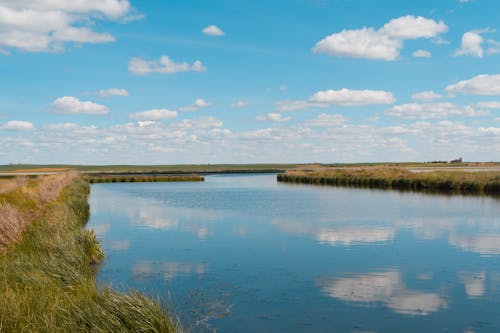 Landscape of a Wide River Under Blue Sky