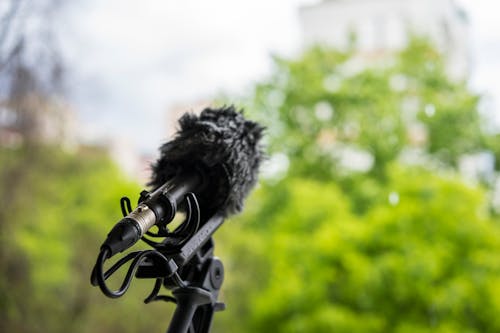 Free Microphone against Green Trees Stock Photo