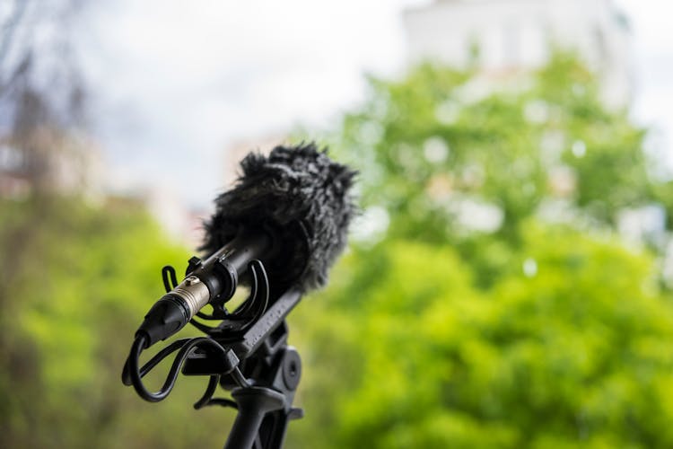 Microphone Against Green Trees