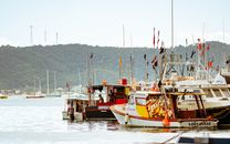 Colorful fishing boats docked in Saint George's, Grenada with lush green hills in the background.