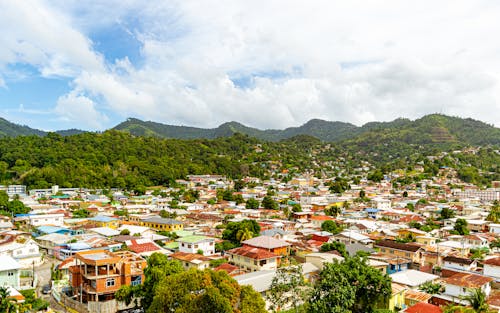 Foto profissional grátis de aerofotografia, árvores verdes, casas