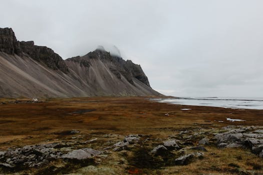 A stunning view of Iceland's rugged coastline and striking mountain formations under an overcast sky.