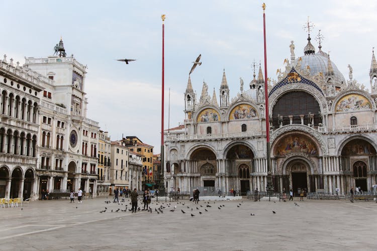 People And Birds At The Piazza San Marco