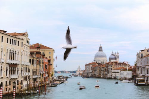 A View Of Venice Canal