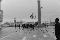 历史广场的黑白图像中，有人和鸽子，展现了永恒的建筑