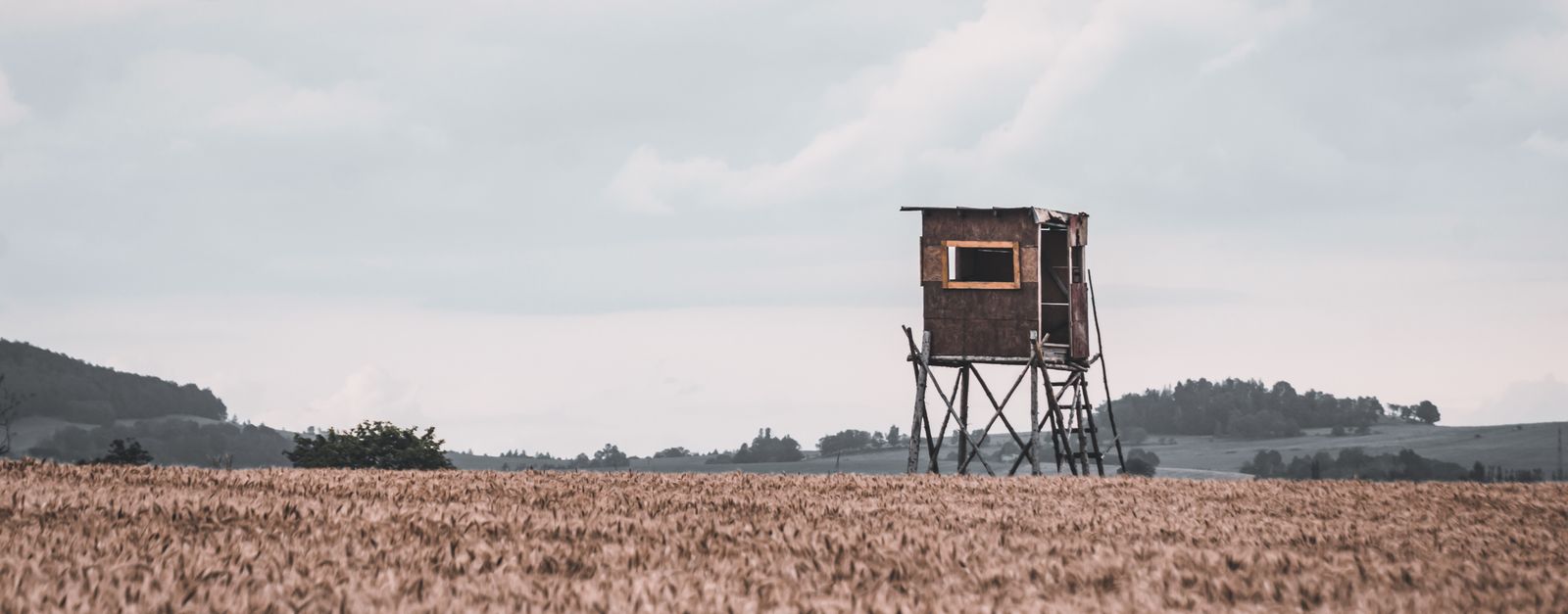 Abandoned shack on stilt in a tranquil Czech countryside field under a cloudy sky.