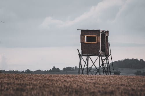 Бесплатное стоковое фото с без людей, большой, домик