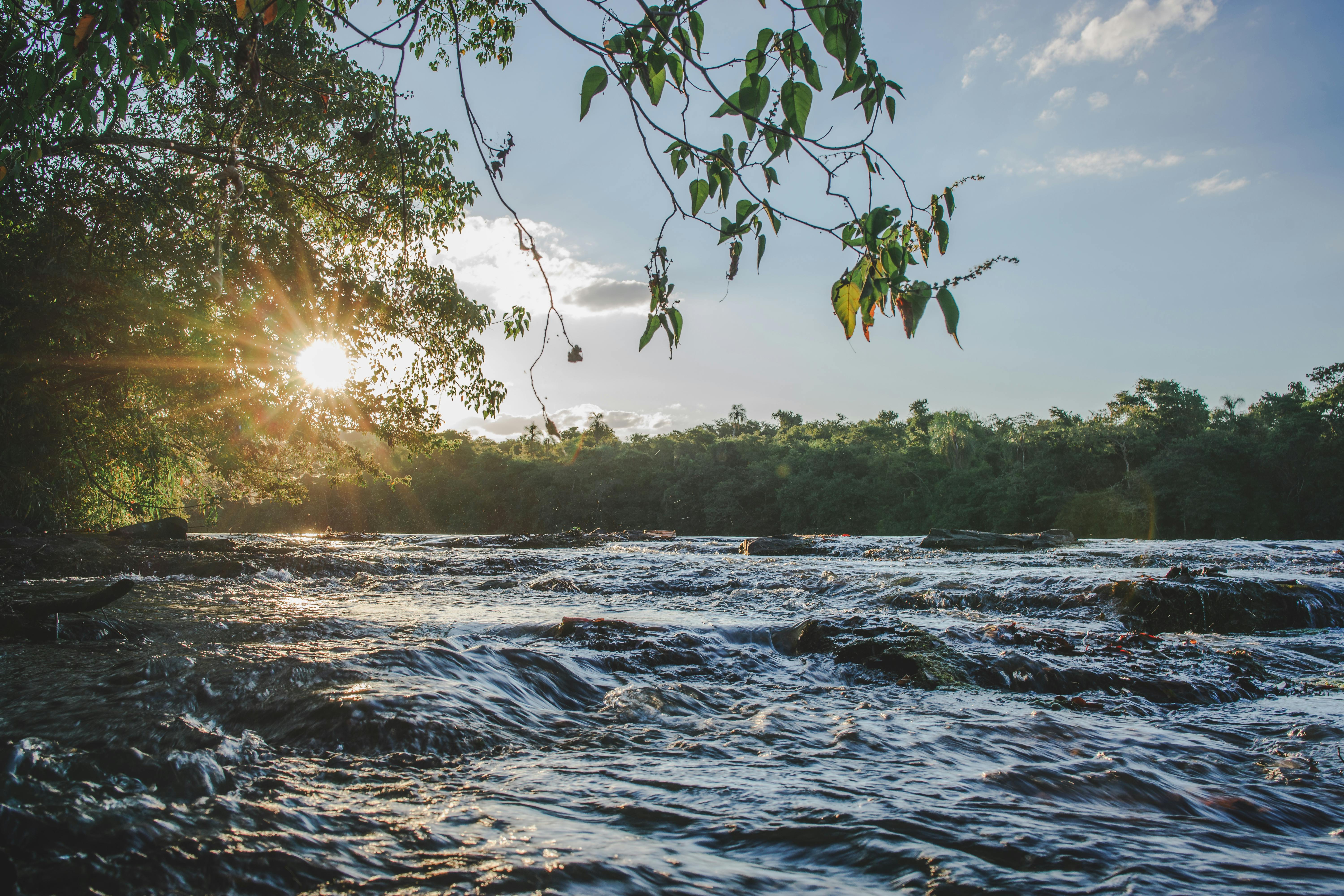 What Is The Difference Between Coolsculpting And Cryotherapy Difference