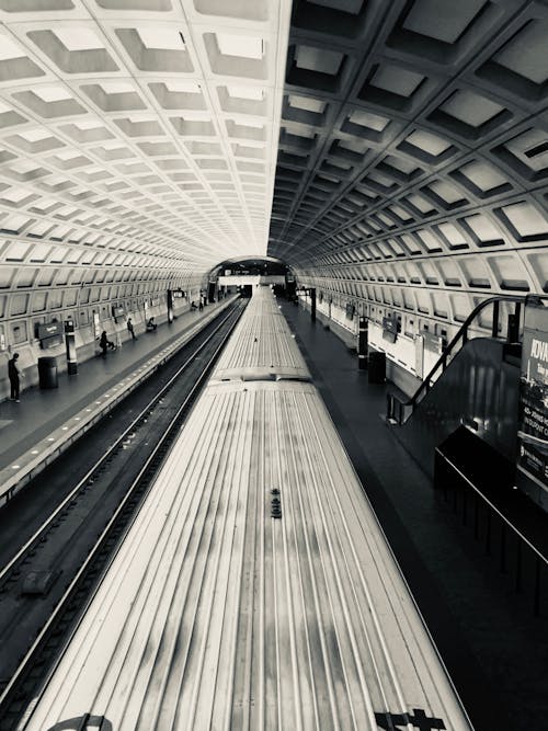 Foto d'estoc gratuïta de andana de metro, escala de grisos, estació del metro
