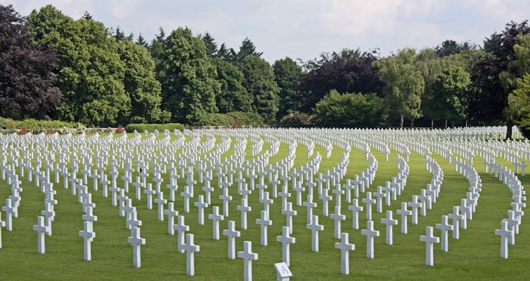 Cemetery Near Green Trees