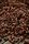 cocoa beans