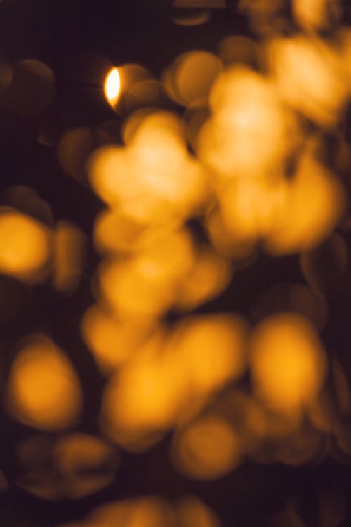 Gratis lagerfoto af bokeh, lodret skud, sløret