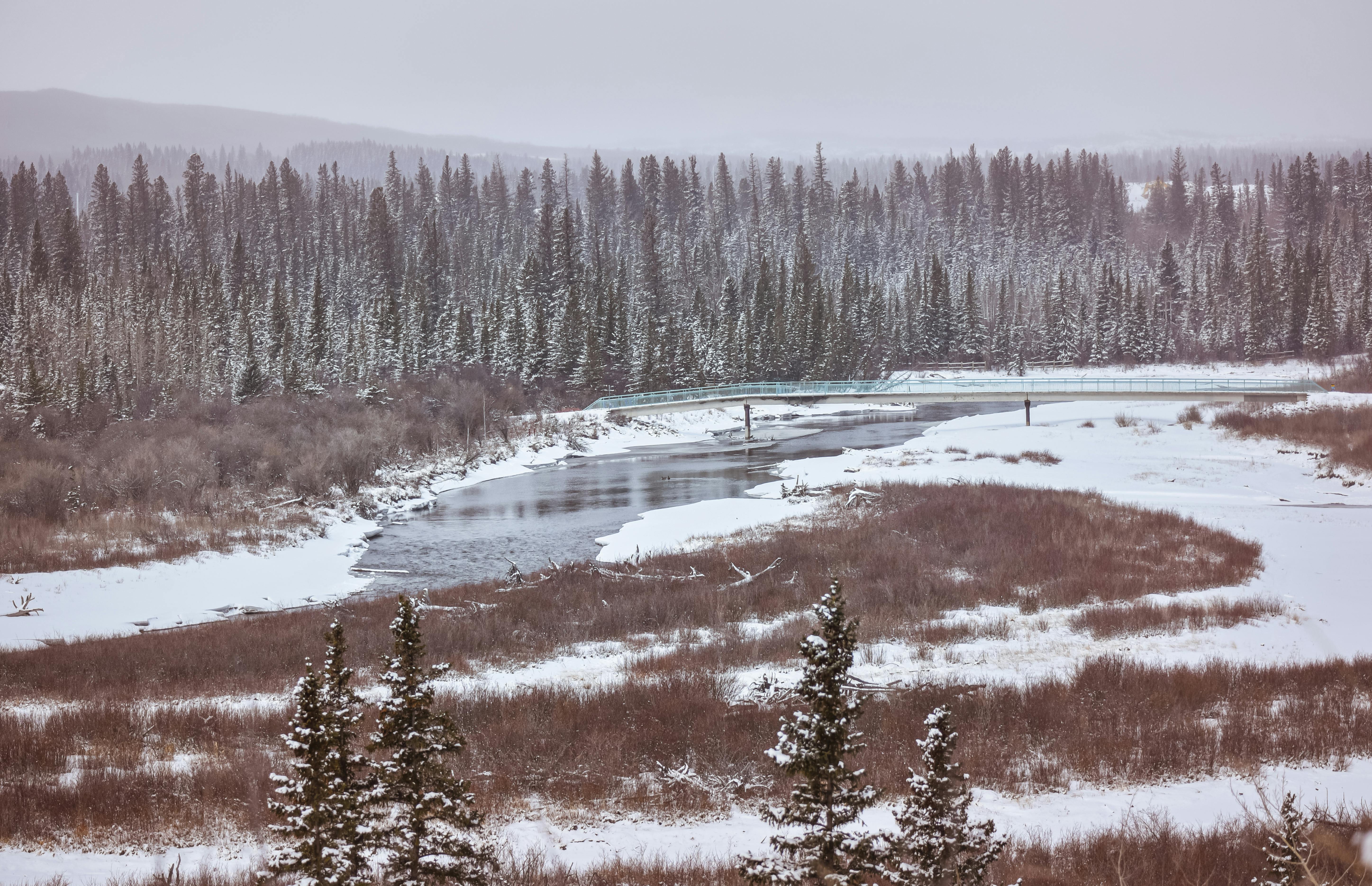 6 dấu hiệu trầm cảm