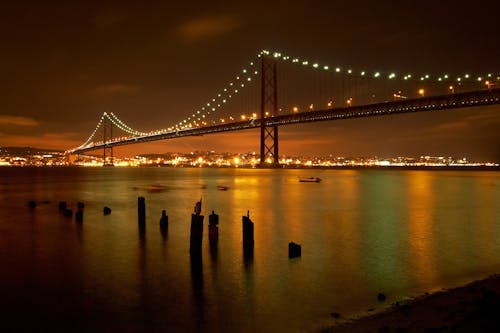 Kostenlos Brücke Während Der Nacht Stock-Foto