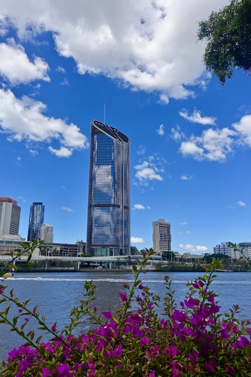 Purple Flower Near Body of Water and High Rise Building