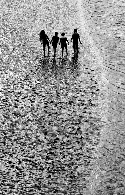 High-Angle Shot of People Walking on the Beach