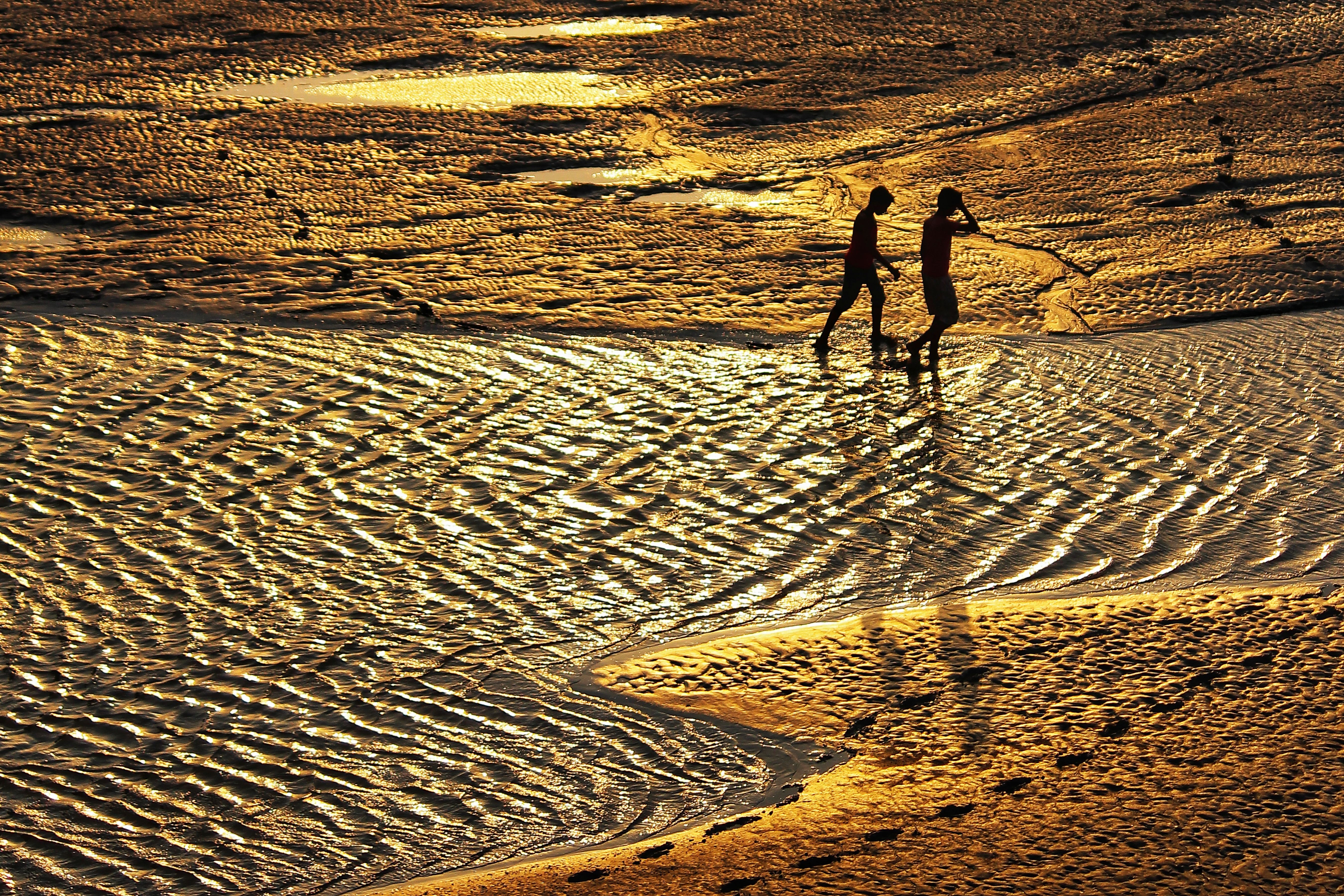 Silhouette of Two People Walking on the Beach during Sunset · Free ...