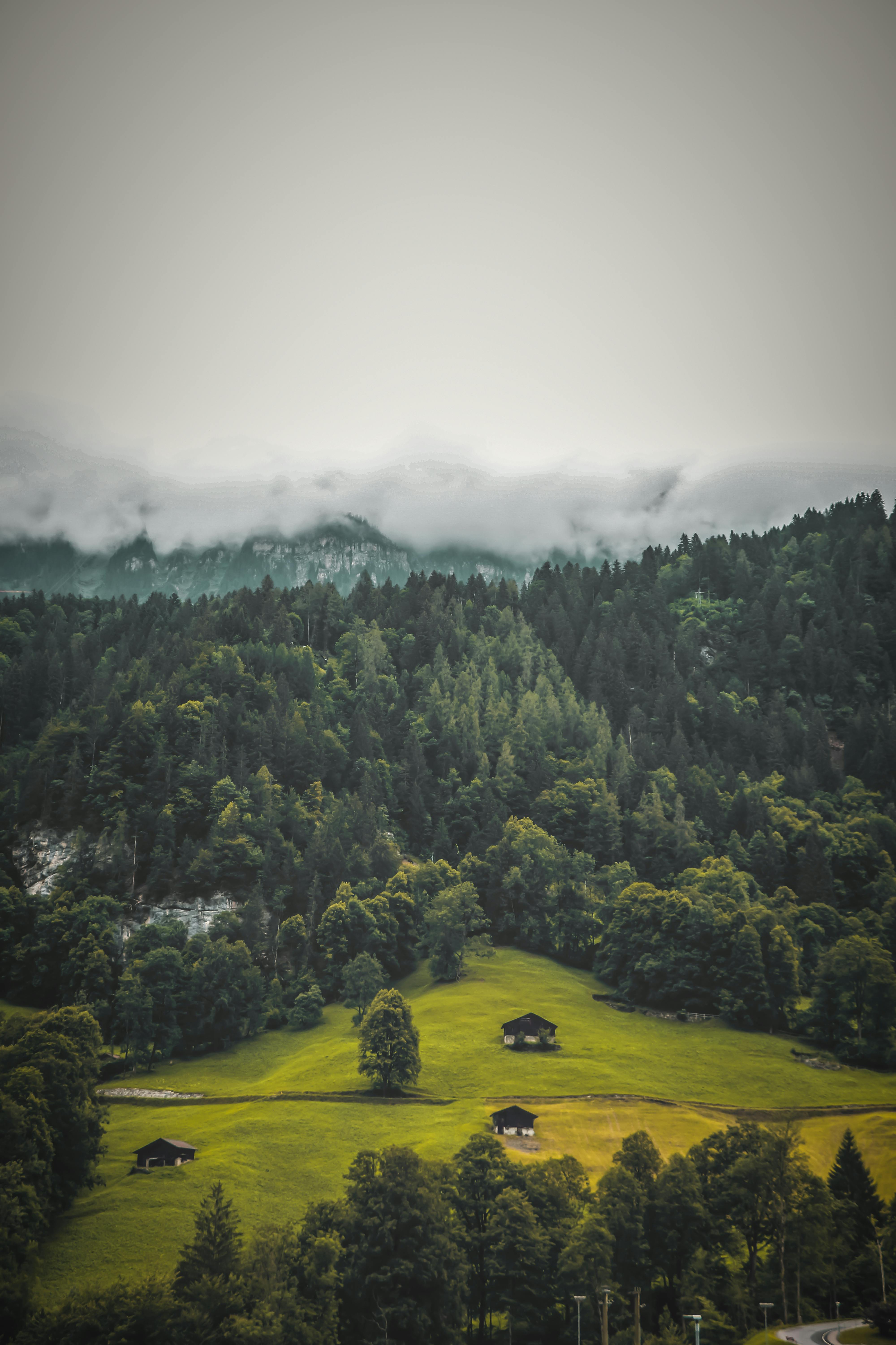 A serene landscape of Lauterbrunnen, Switzerland featuring lush greenery and foggy mountains.
