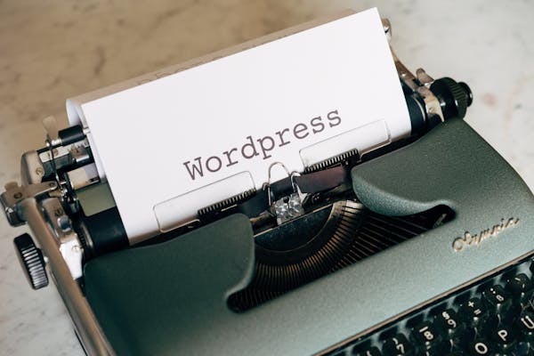 Curso técnico profesional WordPress online