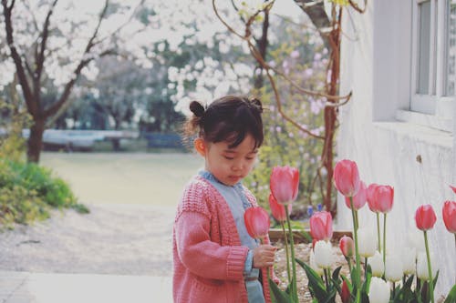 Fotos de stock gratuitas de adorable, al aire libre, alegría