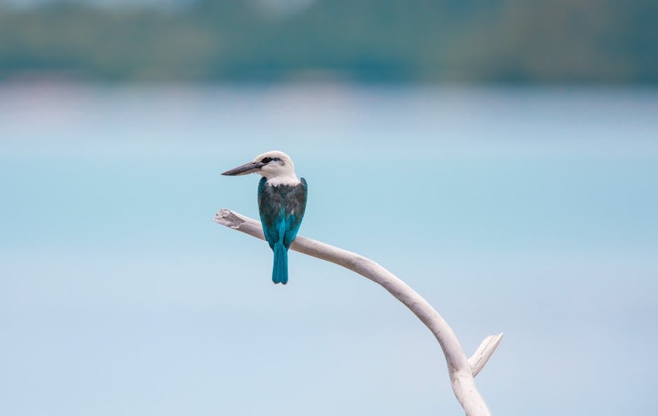 A tranquil scene of a kingfisher perched on a branch overlooking a peaceful water backdrop.