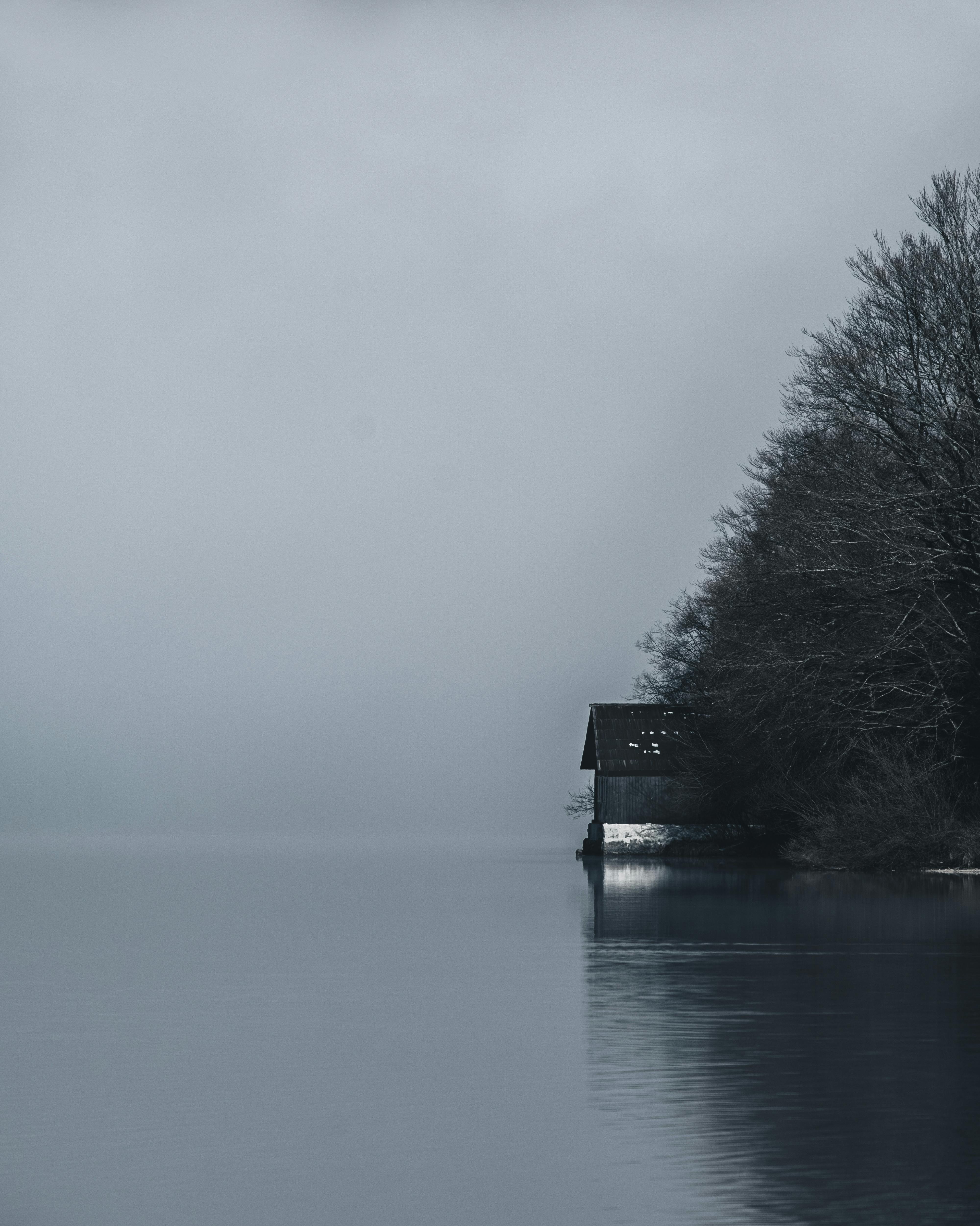 Black and white of lonely rustic house located on shore of peaceful lake near forest with leafless trees during foggy day