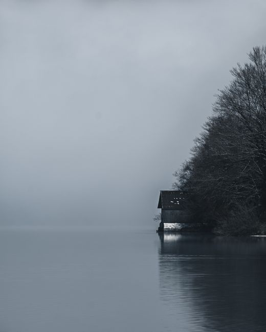 Black and white of lonely rustic house located on shore of peaceful lake near forest with leafless trees during foggy day