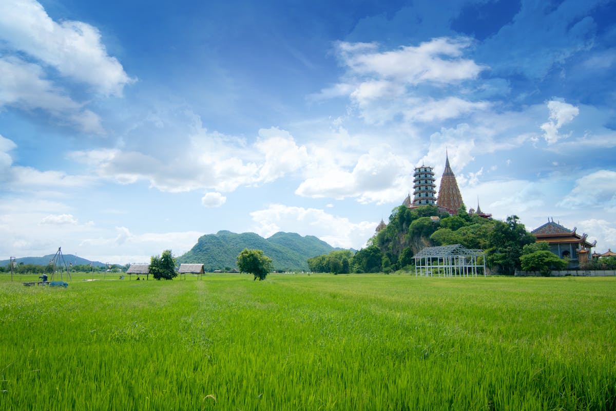 Dog receiving vaccination at veterinarian clinic