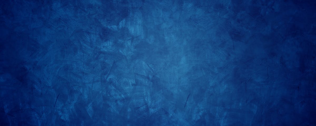 Veterinarian checking dog's skin and coat