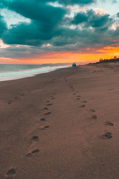 Foto d'estoc gratuïta de alba, cel ennuvolat, platja