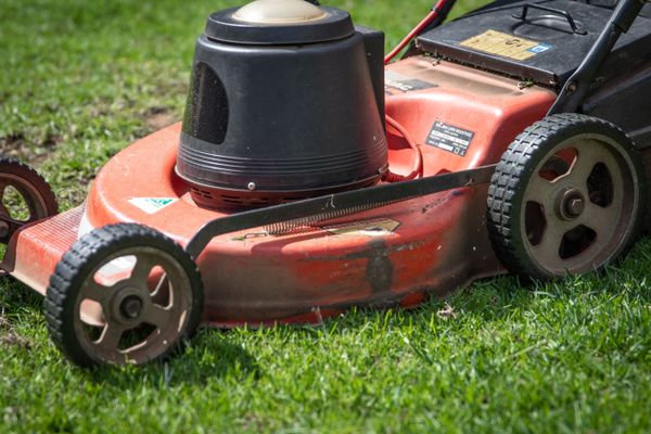 Lawn mower cutting a green lawn
