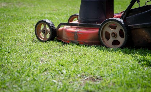 Red and Black Push Lawn Mower on Green Grass