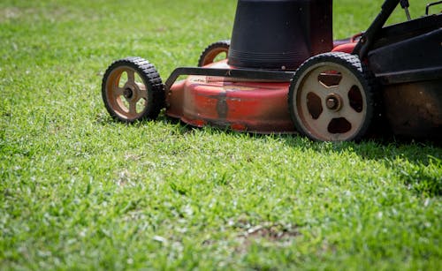 Foto stok gratis alat berkebun, merapatkan, peralatan