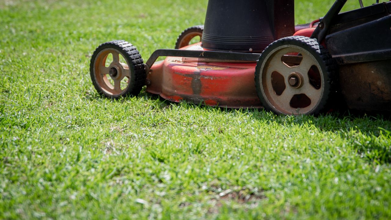 Landscape Maintenance by Santiago's Contractors