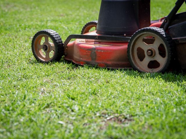 Landscape Maintenance