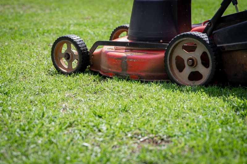 4. Segway Navimow i110E (2026 Pro Edition)